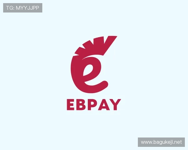 介绍EBpay